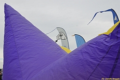 Venice kite festival_0479